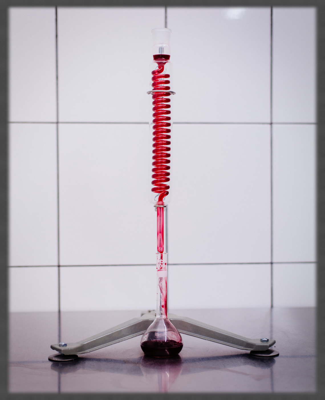 fontedivita-production3